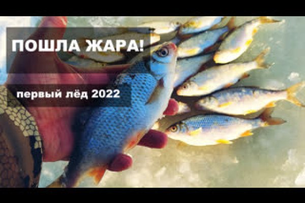Kraken зеркала kr2web in