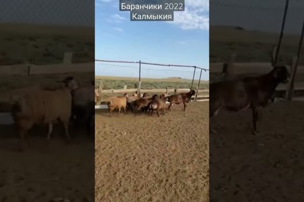 Кракен в обход