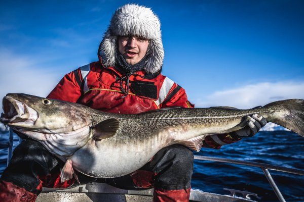 Kraken зеркало kraken link top