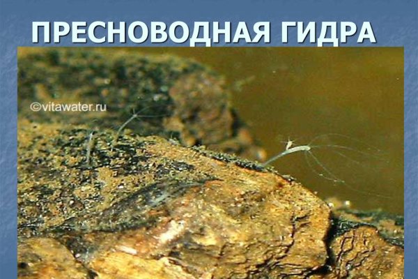 Кракен сайт kr2web in цены