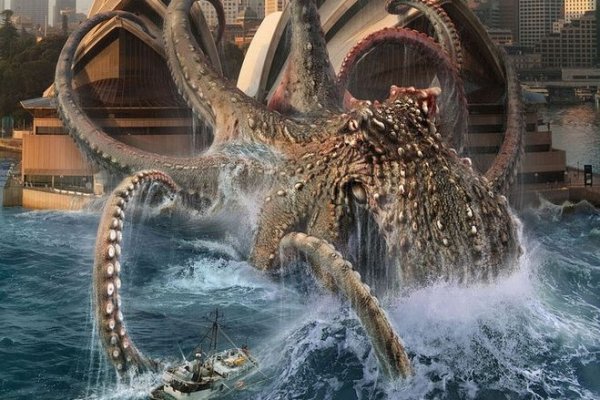 Kraken whitenet