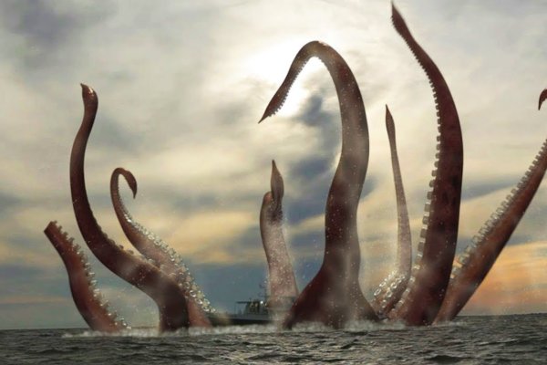 Kraken whitenet marketplace