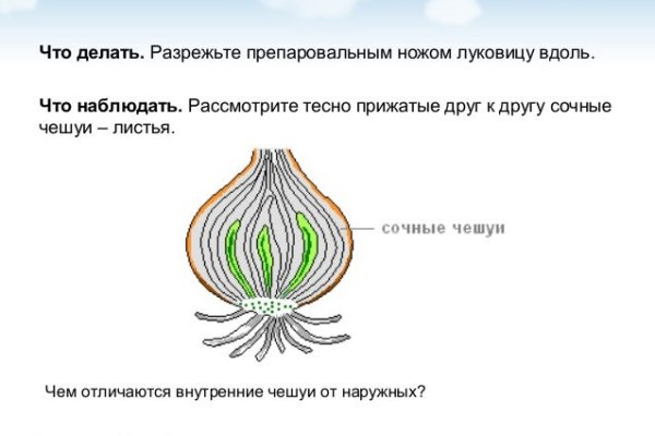 Как зайти в кракен с айфона