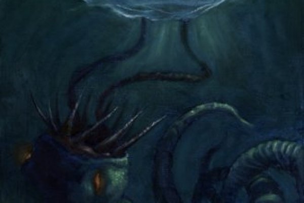 Kraken whitenet ссылка