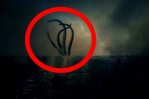 Kraken 11at