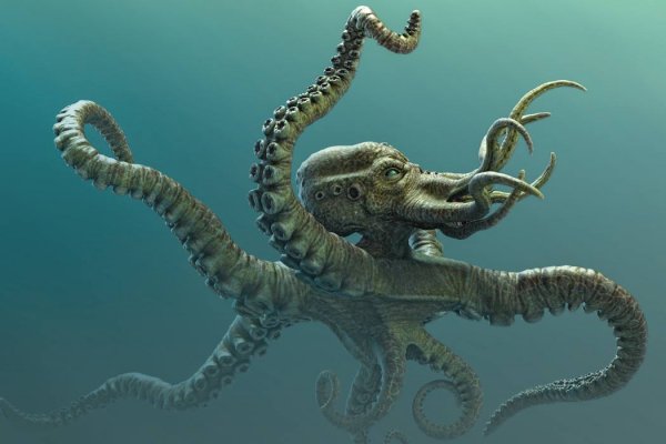 Kraken17at