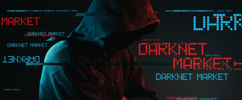 Kraken 6at